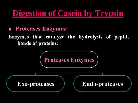 Digestion of Casein by Trypsin
