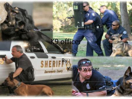 K9 officer By : Katlyn walker. Job description Canine officers are police officers who work with specially trained detector dogs, usually to detect illegal.
