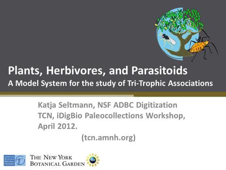 Plants, Herbivores, and Parasitoids A Model System for the study of Tri-Trophic Associations Katja Seltmann, NSF ADBC Digitization TCN, iDigBio Paleocollections.