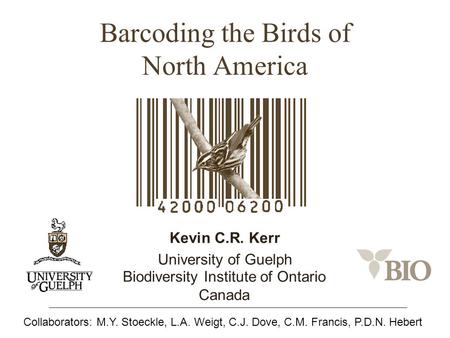 Barcoding the Birds of North America