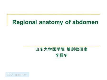 Regional anatomy of abdomen