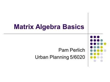 Pam Perlich Urban Planning 5/6020