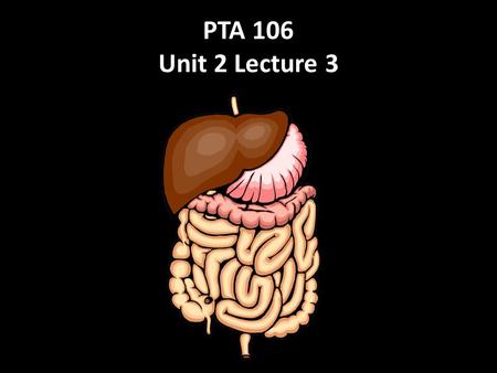 PTA 106 Unit 2 Lecture 3. 25-2 Digestive Functions Ingestion intake of food Digestion breakdown of molecules Absorption uptake nutrients into blood/lymph.