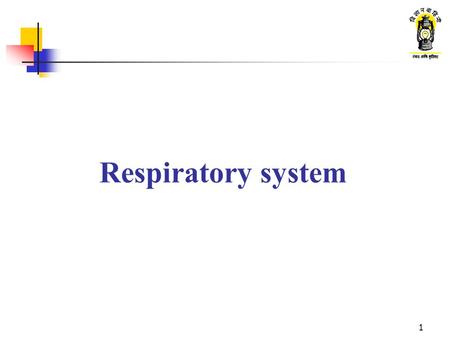 1 Respiratory system. 2 What are we going to learn ? Function of the respiratory system Main parts of the respiratory system Exchange of gases in the.
