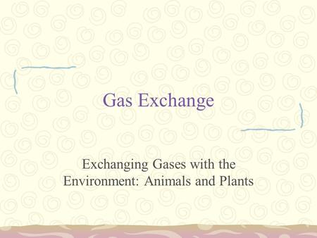 Exchanging Gases with the Environment: Animals and Plants