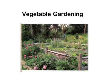 Vegetable Gardening.