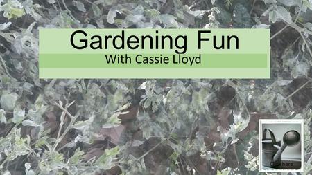 Gardening Fun With Cassie Lloyd Click here. NAVIGATION MENU To Move to the Next page please click on the water pail To return to the previous page click.
