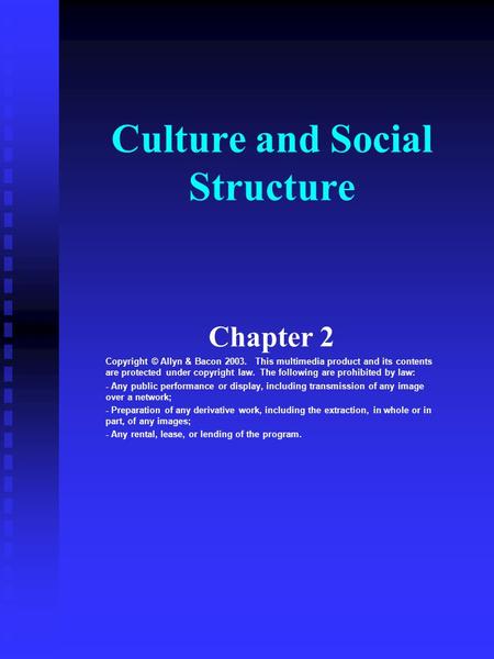 Culture and Social Structure Chapter 2 Copyright © Allyn & Bacon 2003. This multimedia product and its contents are protected under copyright law. The.