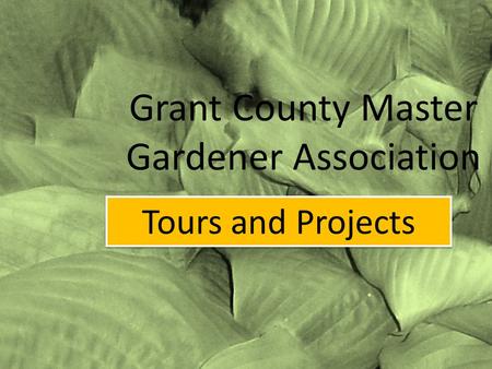 Grant County Master Gardener Association Tours and Projects.