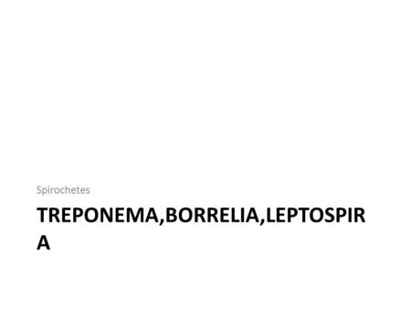 TREPONEMA,BORRELIA,LEPTOSPIR A Spirochetes. They are gram negative bacteria Long, thin, helical, and motile.