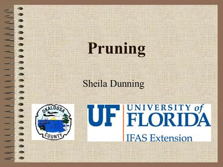 Pruning Sheila Dunning. What is Pruning? Removal of plant parts –Shoots, branches, fronds, flowers Improve health Control growth Influence flowering &