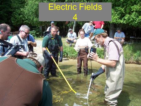 Electric Fields 4. Overview Session 4: covers electricity in water which includes electric field concepts/field form terms (e.g. voltage gradient, power.