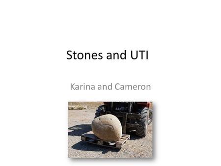 Stones and UTI Karina and Cameron.