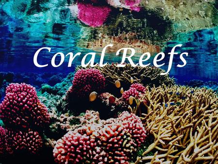Coral Reefs. What is a coral reef? Ecosystem Community of living organisms Exist since millions of years The reefs that we see today had to grow for around.