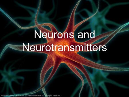 Neurons and Neurotransmitters. Nervous System –Central nervous system (CNS): Brain Spinal cord –Peripheral nervous system (PNS): Sensory neurons Motor.
