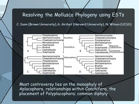Resolving the Mollusca Phylogeny using ESTs C. Dunn (Brown University), G. Giribet (Harvard University), N. Wilson (UCSD) Most controversy lies on the.