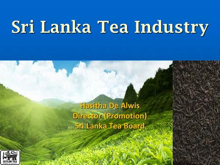 Sri Lanka Tea Industry Hasitha De Alwis Director (Promotion)