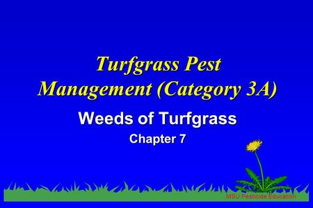 MSU Pesticide Education Turfgrass Pest Management (Category 3A) Weeds of Turfgrass Chapter 7.