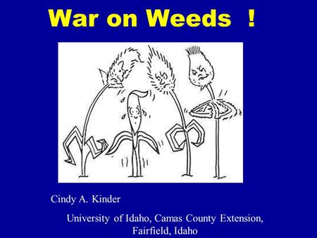 War on Weeds ! Cindy A. Kinder University of Idaho, Camas County Extension, Fairfield, Idaho.