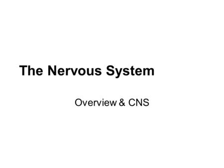 The Nervous System Overview & CNS. Lecture Outline General Overview of Nervous System Function Cells of the Nervous System CNS –Functional components.