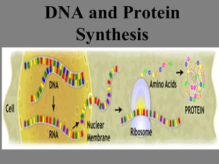 DNA and Protein Synthesis Why are you, YOU? You are made of basically four types of molecules. DNA is the molecule that gives instructions to your cells.