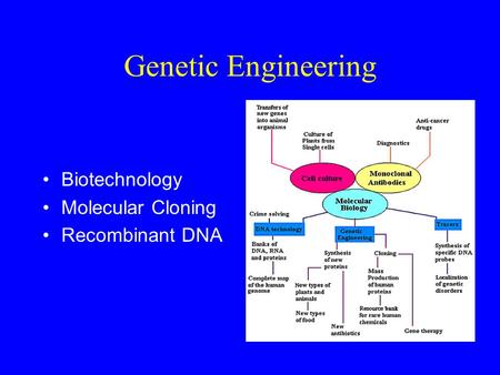 Genetic Engineering Biotechnology Molecular Cloning Recombinant DNA.
