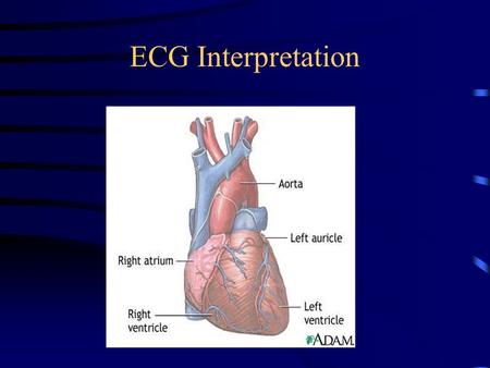 ECG Interpretation.