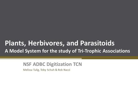 Plants, Herbivores, and Parasitoids A Model System for the study of Tri-Trophic Associations NSF ADBC Digitization TCN Melissa Tulig, Toby Schuh & Rob.