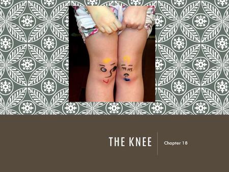 The Knee Chapter 18.