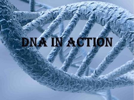 DNA in aCTION. DNA Basics DNA is the most basic building block of life DNA makes proteins for the body DNA passes genes from one generation to the next.