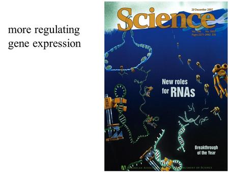 More regulating gene expression. Fig 16.1 Gene Expression is controlled at all of these steps: DNA packaging Transcription RNA processing and transport.