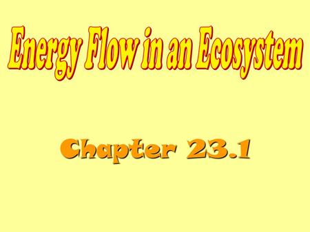 Chapter 23.1. Energy Roles An organism’s energy role in an ecosystem may be that of a producer, consumer, or decomposer. An organism’s energy role is.
