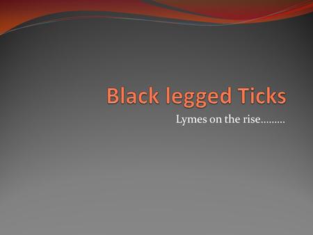 Black legged Ticks Lymes on the rise……….