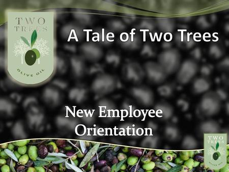 Introductions Please tell everyone your: Name Job Role Hometown Favorite Olive Oil Flavor.