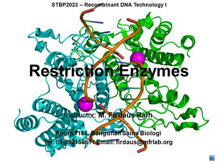 STBP2023 – Recombinant DNA Technology I Restriction Enzymes Instructor: M. Firdaus Raih Room 1166, Bangunan Sains Biologi Tel: 03-89215961 /