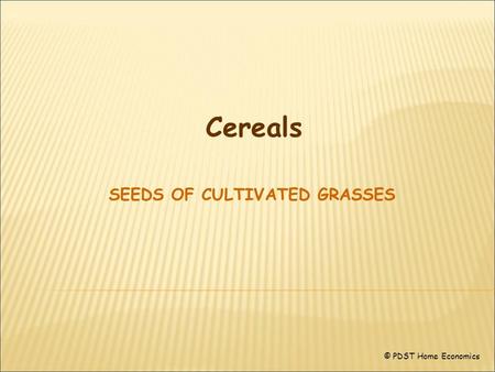 Cereals SEEDS OF CULTIVATED GRASSES © PDST Home Economics.