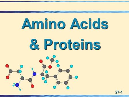 27-1 Amino Acids & Proteins. 27-2 Amino Acids  Amino acid:  Amino acid: A compound that contains both an amino group and a carboxyl group.  -Amino.