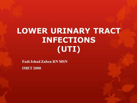 LOWER URINARY TRACT INFECTIONS (UTI)