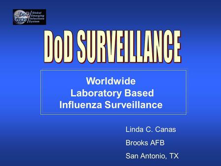 Worldwide Laboratory Based Influenza Surveillance Linda C. Canas Brooks AFB San Antonio, TX.