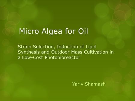 Micro Algea for Oil Strain Selection, Induction of Lipid Synthesis and Outdoor Mass Cultivation in a Low-Cost Photobioreactor Yariv Shamash.