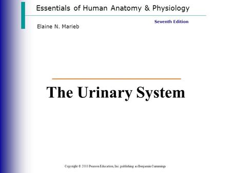 Essentials of Human Anatomy & Physiology Copyright © 2003 Pearson Education, Inc. publishing as Benjamin Cummings Seventh Edition Elaine N. Marieb The.