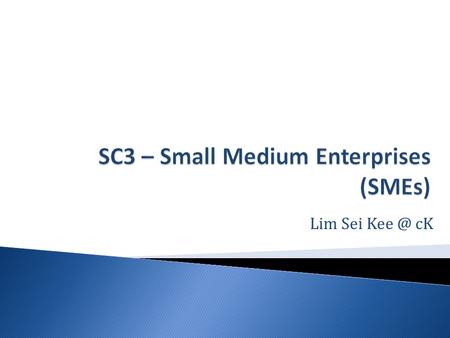 SC3 – Small Medium Enterprises (SMEs)