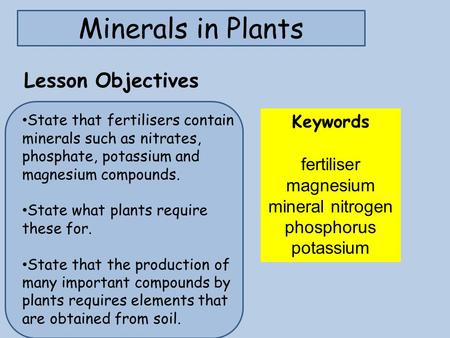 fertiliser magnesium mineral nitrogen phosphorus potassium