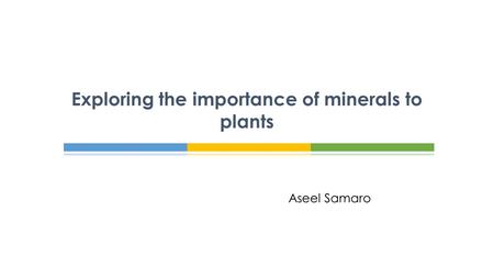 Exploring the importance of minerals to plants