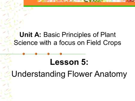 Unit A: Basic Principles of Plant Science with a focus on Field Crops
