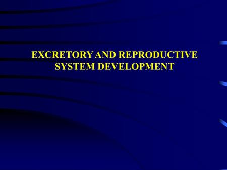 EXCRETORY AND REPRODUCTIVE
