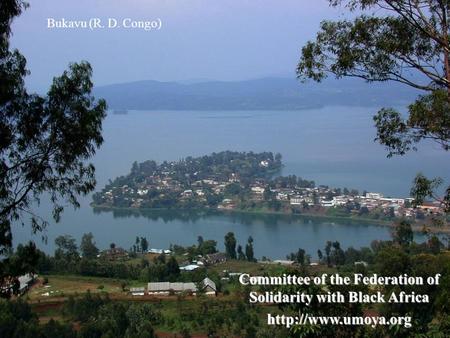 Committee of the Federation of Solidarity with Black Africa  Bukavu (R. D. Congo)