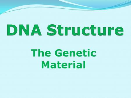 DNA Structure The Genetic Material.