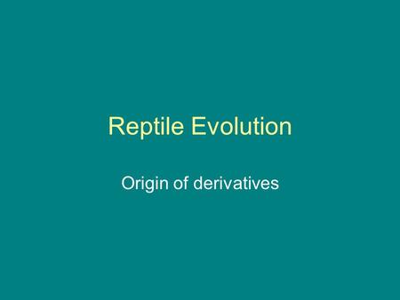 Reptile Evolution Origin of derivatives.