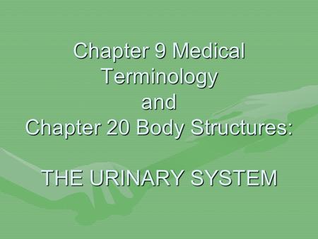 FUNCTIONS OF THE URINARY SYSTEM